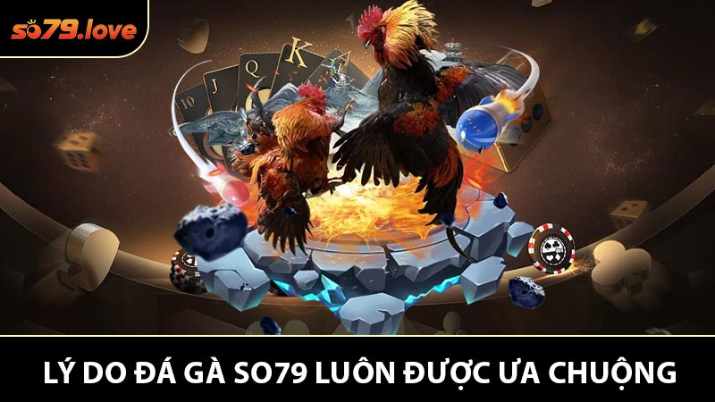 Lý Do Đá Gà So79 Luôn Được Ưa chuộng